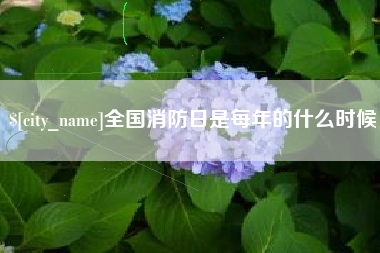 泰兴全国消防日是每年的什么时候