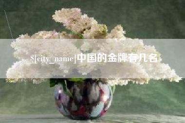 泰兴中国的金牌有几名