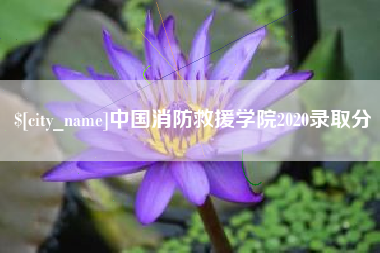 泰兴中国消防救援学院2020录取分