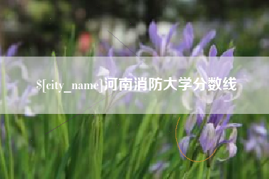 泰兴河南消防大学分数线