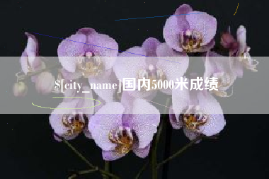 泰兴国内5000米成绩