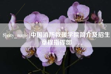 泰兴中国消防救援学院简介及招生章程指挥部