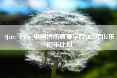 泰兴中国消防救援学院2021年山东招生计划