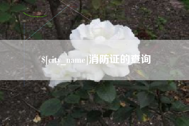 泰兴消防证的查询