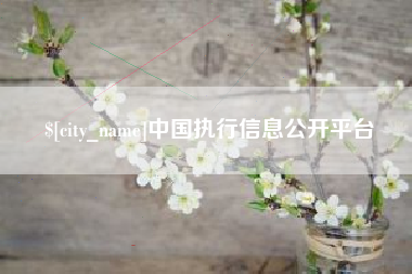 泰兴中国执行信息公开平台