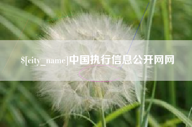 泰兴中国执行信息公开网网