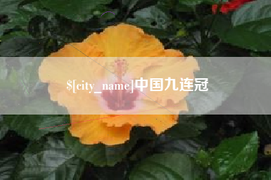 泰兴中国九连冠