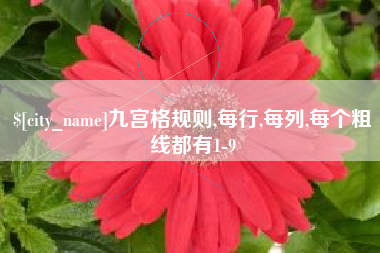 泰兴九宫格规则,每行,每列,每个粗线都有1-9
