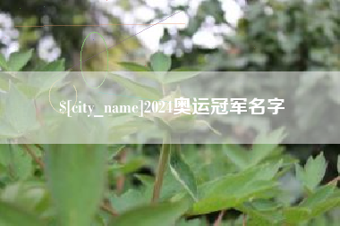 泰兴2024奥运冠军名字