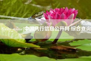 泰兴中国执行信息公开网 综合查询