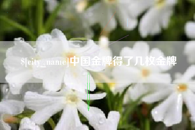 泰兴中国金牌得了几枚金牌