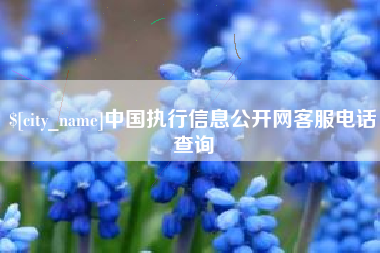 泰兴中国执行信息公开网客服电话查询