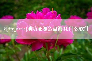 泰兴消防证怎么查询,用什么软件
