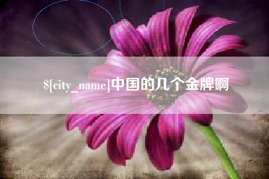 泰兴中国的几个金牌啊