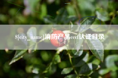 泰兴消防产品cccf认证目录