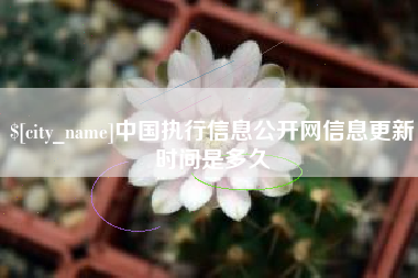 泰兴中国执行信息公开网信息更新时间是多久