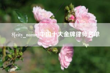 泰兴中国十大金牌律师名单