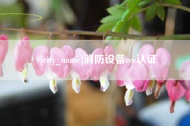 泰兴消防设备ccc认证