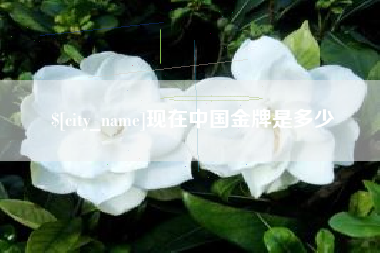 泰兴现在中国金牌是多少