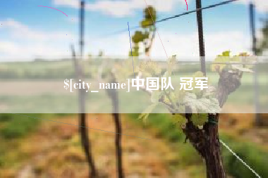 泰兴中国队 冠军