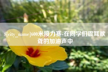 泰兴600米接力赛-在同学们震耳欲聋的加油声中