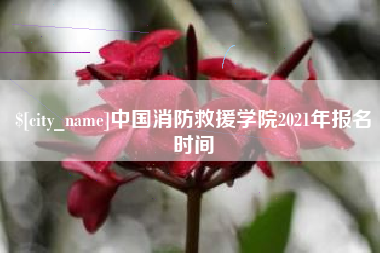 泰兴中国消防救援学院2021年报名时间
