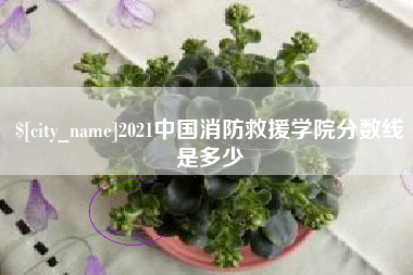 泰兴2021中国消防救援学院分数线是多少