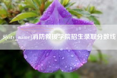 泰兴消防救援学院招生录取分数线
