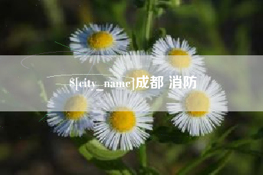 泰兴成都 消防