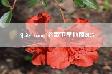 泰兴谷歌卫星地图2025