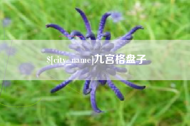 泰兴九宫格盘子