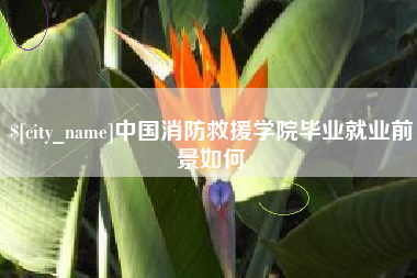 泰兴中国消防救援学院毕业就业前景如何