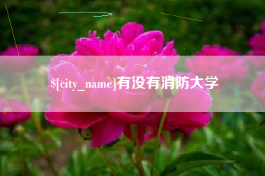 泰兴有没有消防大学