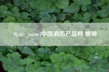 泰兴中国消防产品网 查询