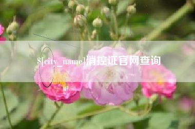 泰兴消控证官网查询