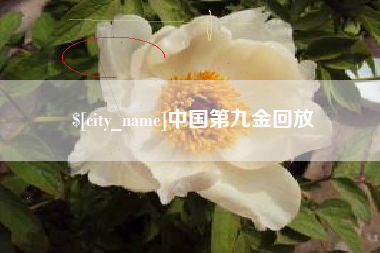 泰兴中国第九金回放