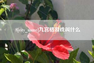 泰兴九宫格游戏叫什么
