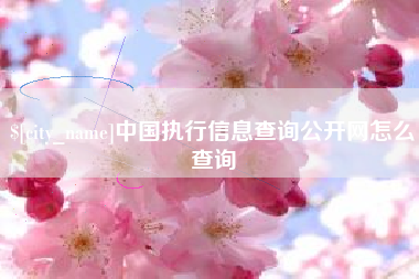 泰兴中国执行信息查询公开网怎么查询
