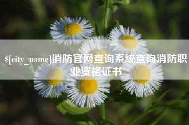泰兴消防官网查询系统查询消防职业资格证书