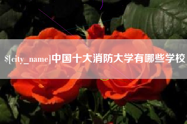 泰兴中国十大消防大学有哪些学校