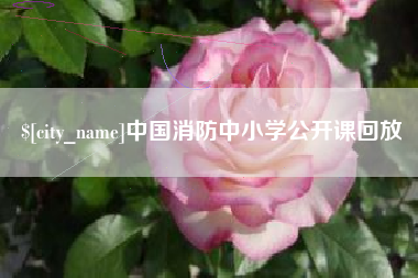 泰兴中国消防中小学公开课回放