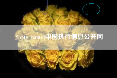 泰兴中国执行信息公开网