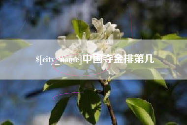 泰兴中国夺金排第几