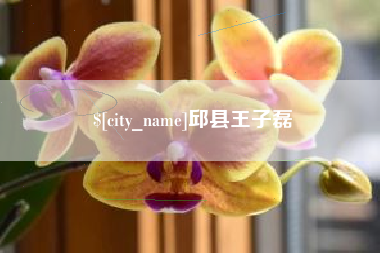 泰兴邱县王子磊