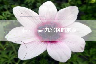 泰兴九宫格的来源