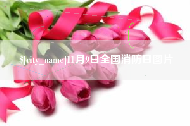 泰兴11月9日全国消防日图片