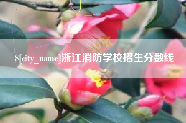 泰兴浙江消防学校招生分数线