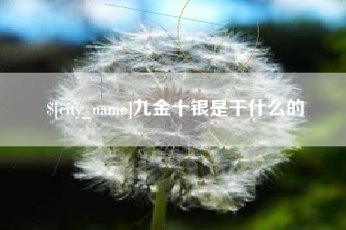 泰兴九金十银是干什么的