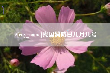 泰兴我国消防日几月几号