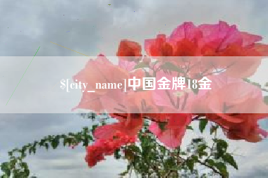 泰兴中国金牌18金